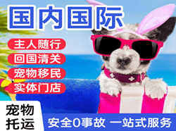 台州空运国际宠物托运 【国